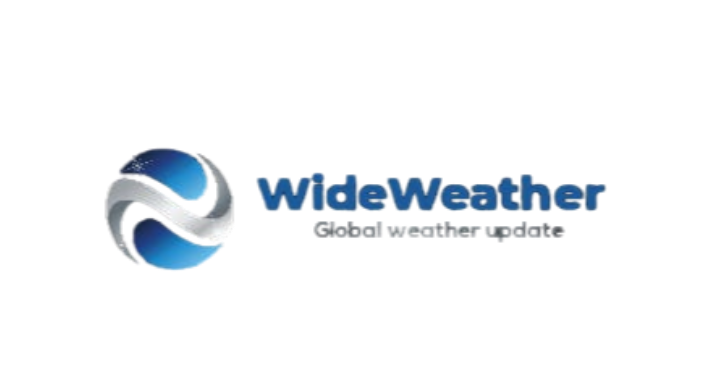 website development company in jaipur