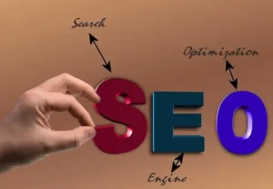 SEO Company in Mansarovar 2025