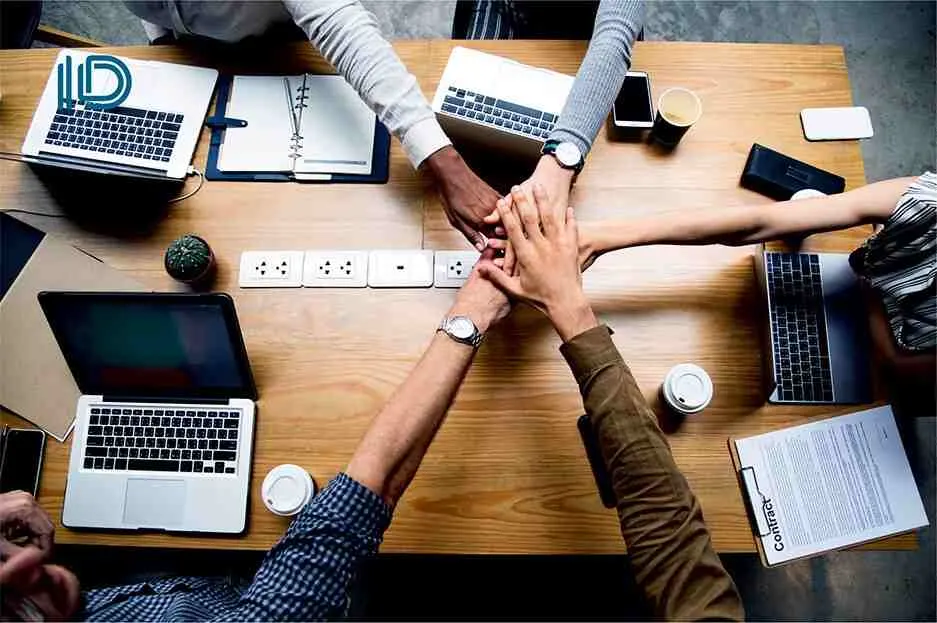 How Professional E-commerce Development